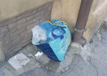 «Sporcizia, rifiuti e degrado: Corso Dante è una strada abbandonata»