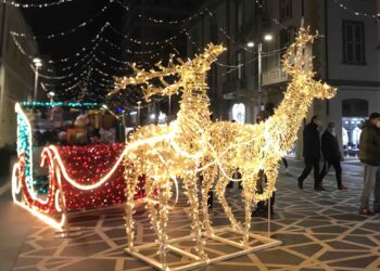 Albero vero, luci a led ed eventi, c’è attesa per il calendario natalizio