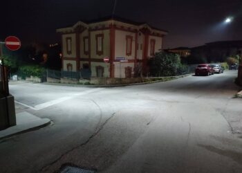 Cani e gatti avvelenati a Vasto Marina, una morte atroce