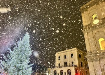 Luci, musica e colori: un successo l’accensione dell’albero in piazza Plebiscito