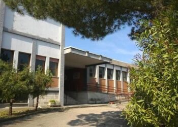 “StellArte”: il “Palizzi” apre le sue porte con laboratori, performance e mostre