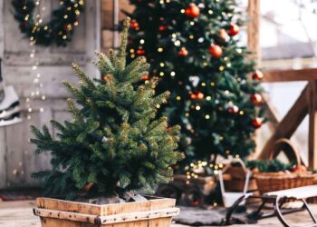 “Albero di Natale 2022″, il contest per le parrocchie frentane