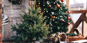 “Albero di Natale 2022″, il contest per le parrocchie frentane