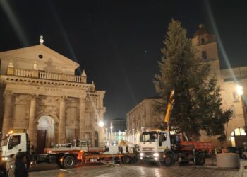 Arrivato l’abete in piazza Plebiscito, «era l’albero che avrebbe voluto Papa Francesco»