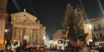 Arrivato l’abete in piazza Plebiscito, «era l’albero che avrebbe voluto Papa Francesco»
