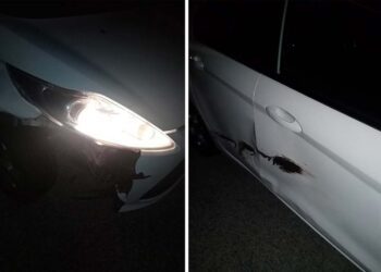 Auto contro cinghiale sulla “Trignina”, «si installino al più presto le barriere anti-fauna selvatica»