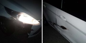 Auto contro cinghiale sulla “Trignina”, «si installino al più presto le barriere anti-fauna selvatica»