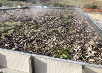 Civeta, 20 milioni di euro dal Pnrr per produrre biometano da scarti vegetali: «Notizia epocale»