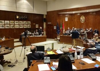 Consiglio comunale compatto sull’eolico in mare: unanimità nel richiedere approfondimenti «senza pregiudizi»