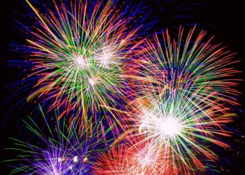 Europa Verde chiede al Comune un’ordinanza per lo stop ai fuochi d’artificio