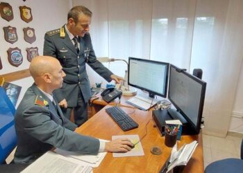 Abita in una villa di 26 stanze, ma percepisce il reddito di cittadinanza: denunciato