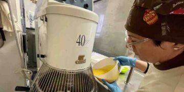 Come nasce un panettone, dalla lievitazione in tavola