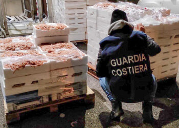 Controlli sul pescato: in Abruzzo 74mila euro di sanzioni e 760 chili di prodotti ittici sequestrati