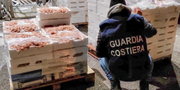 Controlli sul pescato: in Abruzzo 74mila euro di sanzioni e 760 chili di prodotti ittici sequestrati