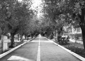 I 100 anni di viali e parchi della Rimembranza nel libro di Matteo Nanni