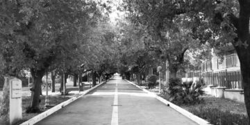 I 100 anni di viali e parchi della Rimembranza nel libro di Matteo Nanni