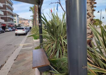 Faisa Cisal: «A Vasto 80 fermate degli autobus vanno messe in sicurezza»