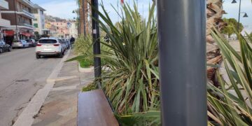 Faisa Cisal: «A Vasto 80 fermate degli autobus vanno messe in sicurezza»