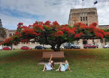 E la città si tinge di rosso
