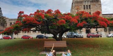 E la città si tinge di rosso