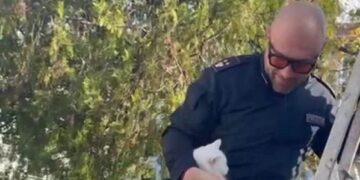 Poliziotto salva gattino intrappolato tra i rami