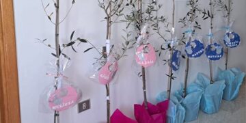 Un ulivo per ogni nuovo nato: «Simbolo di resilienza della nostra comunità»