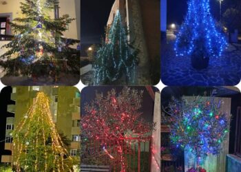 Domani la premiazione del concorso sugli alberi di Natale parrocchiani