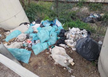 Da possibile variante alla Statale 16 a discarica: qui anche scaldabagni e computer