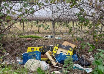 Da possibile variante alla Statale 16 a discarica: qui anche scaldabagni e computer