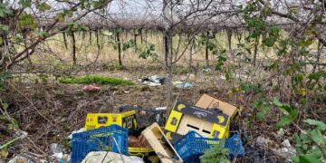 Da possibile variante alla Statale 16 a discarica: qui anche scaldabagni e computer