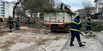 Albero caduto su un’auto al quartiere San Paolo, segato anche un altro pino