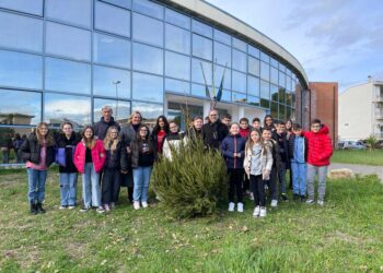 San Salvo, gli alberi di Natale ripiantati nei cortili delle scuole