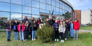 San Salvo, gli alberi di Natale ripiantati nei cortili delle scuole