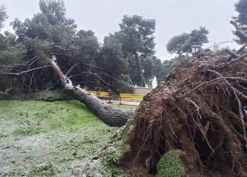 Neve, ancora black out. A Carpineto Sinello a fuoco cabina elettrica