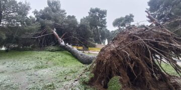 Neve, ancora black out. A Carpineto Sinello a fuoco cabina elettrica