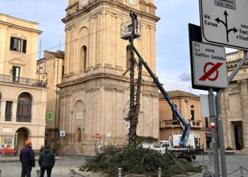 Tagliato l’albero di Natale in piazza Plebiscito
