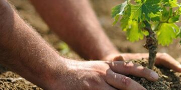 Banca della Terra, inventario pubblico dei terreni abbandonati della città