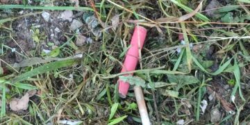 Botti di Capodanno, non c’è ordinanza che tenga: “spettacoli pirotecnici” in numerosi quartieri