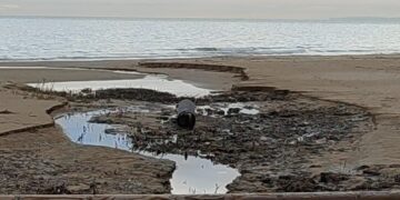 Barisano: «Fosso Marino va rinaturalizzato, il Piano demaniale non consente l’area eventi»