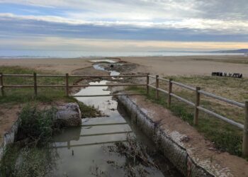 Barisano: «Fosso Marino va rinaturalizzato, il Piano demaniale non consente l’area eventi»