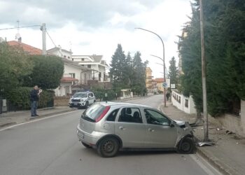Perde il controllo dell’auto e prende in pieno un palo