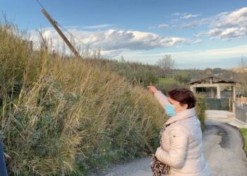 «Ventuno segnalazioni non sono bastate: il palo è ancora pericolante»