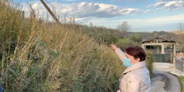 «Ventuno segnalazioni non sono bastate: il palo è ancora pericolante»