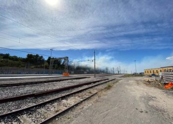 Scalo merci alla stazione Vasto-San Salvo: obiettivo riapertura, «utile anche per abbattere Co2»
