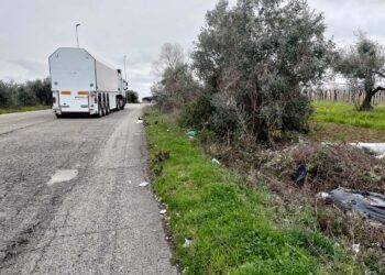 Da possibile variante alla Statale 16 a discarica: qui anche scaldabagni e computer