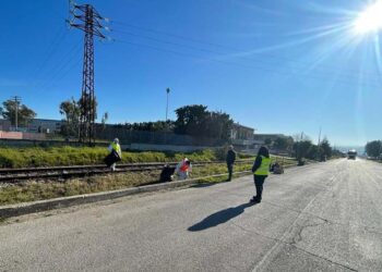 Rifiuti abbandonati dagli autotrasportatori, Amazon provvede alla pulizia