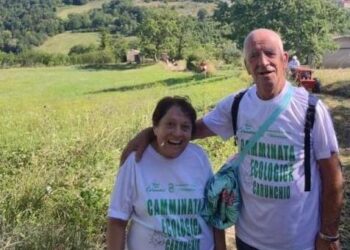 Buon 70° compleanno Amadio Lucci!