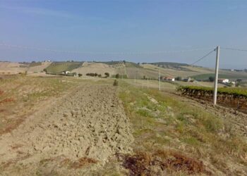 Cupello, “ladri di campagna” in azione: nel mirino masserie e rimesse agricole