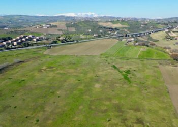 Nuovo ospedale di Vasto, il terreno ormai è un pascolo per pecore