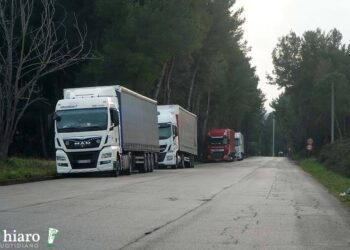 Tir nella zona industriale, De Nicolis: «Individuata area idonea, un bando per gestirla»